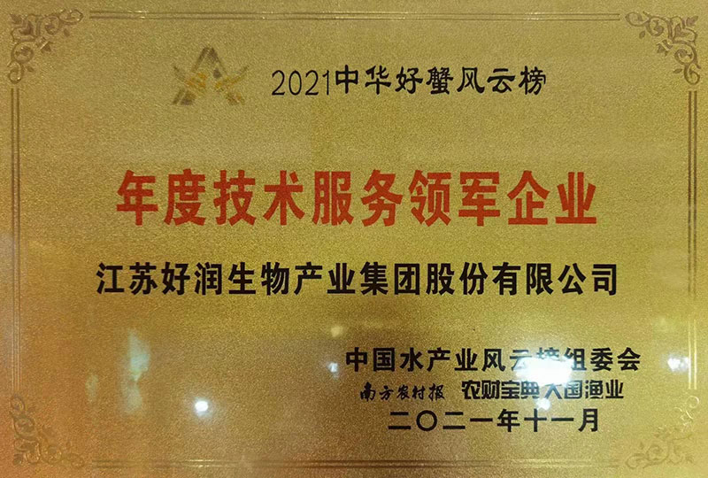 2021年度技術(shù)服務(wù)領(lǐng)軍企業(yè)