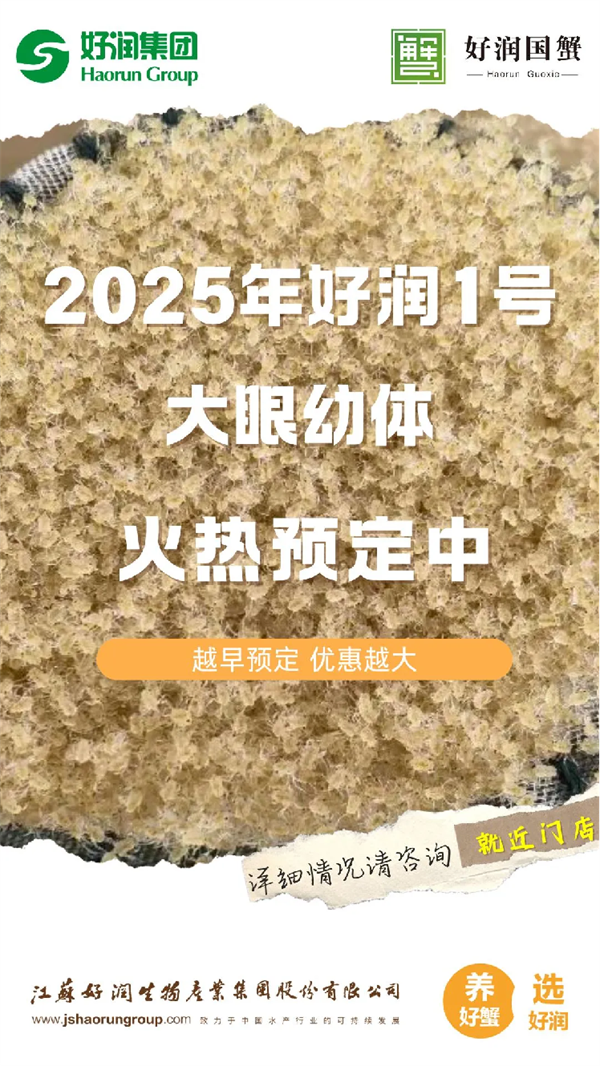 【好潤國蟹】2025年“好潤1號”大眼幼體火熱